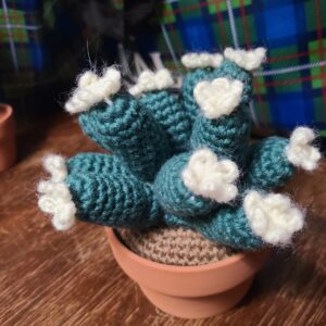 crocheted cactus in a clay pot